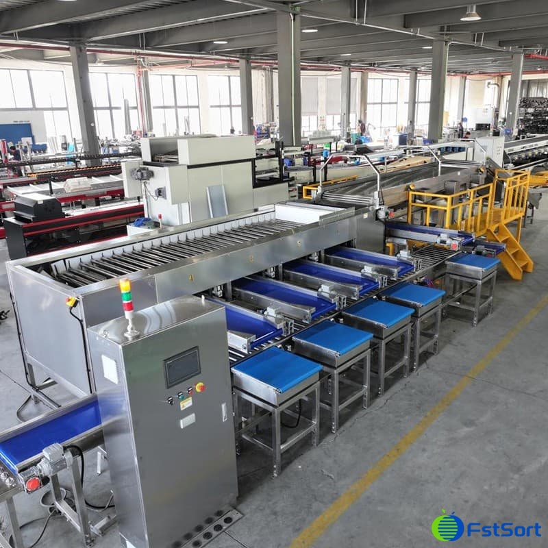 images/1741317535909jujubes grading line.jpg